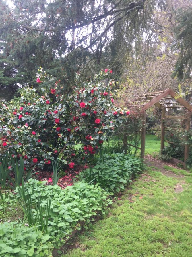 Sherwood Park Bed And Breakfast Somerville 외부 사진
