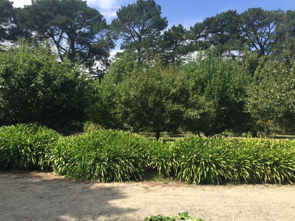 Sherwood Park Bed And Breakfast Somerville 외부 사진