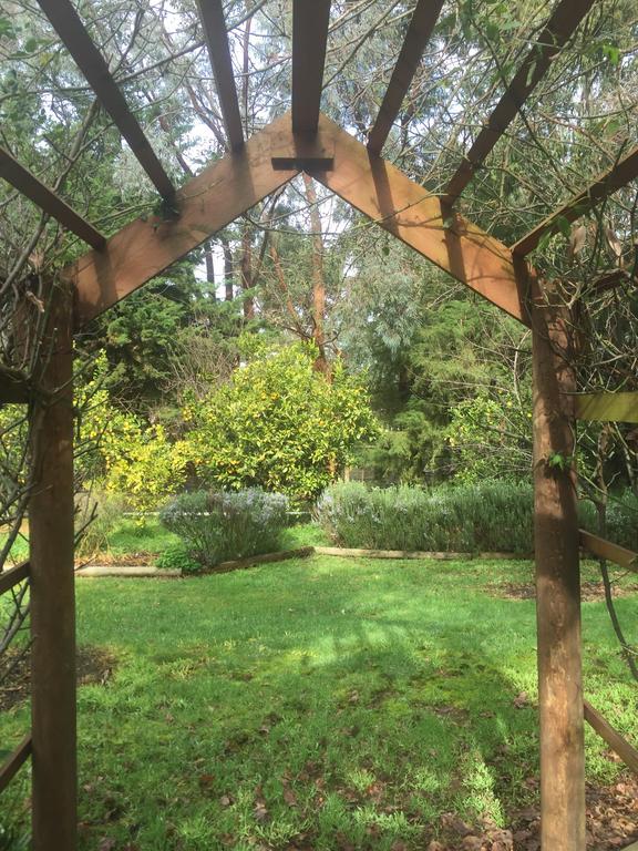 Sherwood Park Bed And Breakfast Somerville 외부 사진