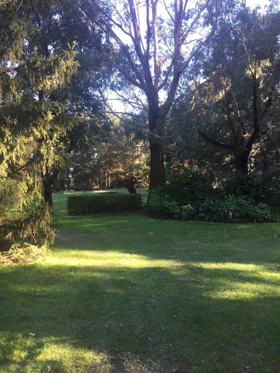 Sherwood Park Bed And Breakfast Somerville 외부 사진