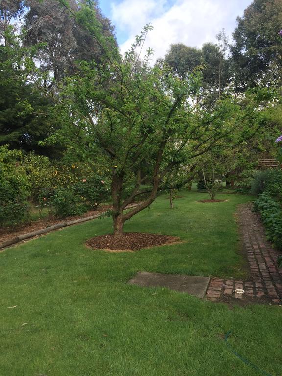 Sherwood Park Bed And Breakfast Somerville 외부 사진