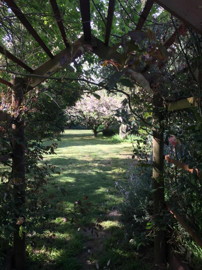 Sherwood Park Bed And Breakfast Somerville 외부 사진