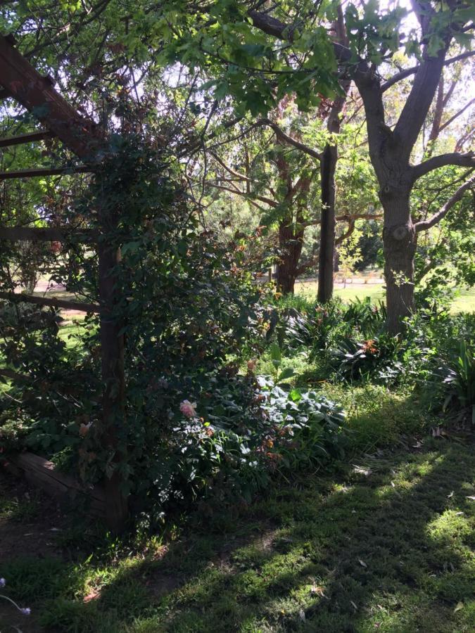 Sherwood Park Bed And Breakfast Somerville 외부 사진